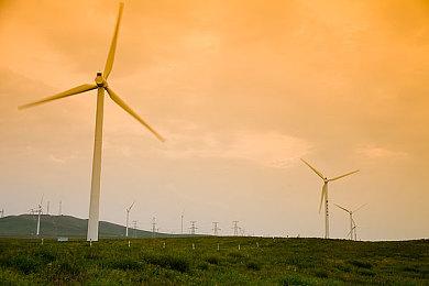 SEGA宣布明天凌晨举行第二次索尼克直播